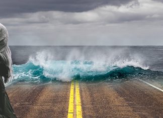 Climate Change=Social Change