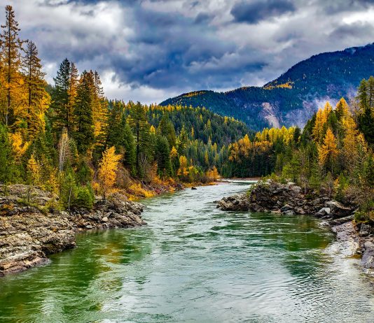 Senate bill s2012 energy bill – How to pass into law very bad legislation under an assumed name