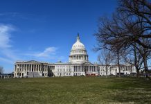 WHAT IT TAKES TO STAFF A CABINET AGENCY