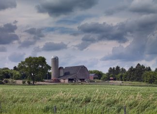 The American Rancher