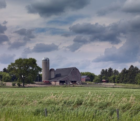 The National Problem of Attacks on Rural America