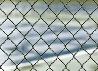 Article 4, Section 4, Protecting our Borders under the U.S. Constitution