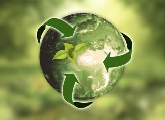SUSTAINABLE DEEP STATE wading around in the D.C. swamp Green Earth