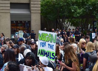 Human Exceptionalism and Animal Rights