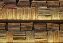 Green Education = Red Education = Indoctrination