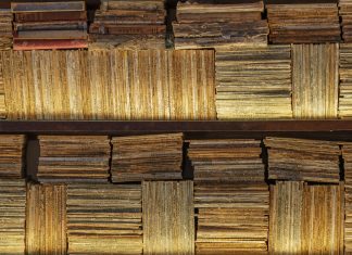 Green Education = Red Education = Indoctrination