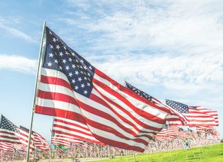 Preserving the Trump Miracle #2