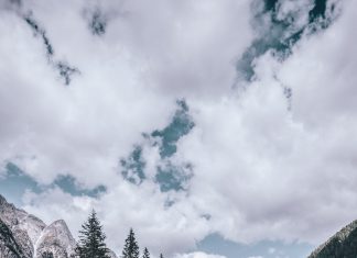 The Left’s Utopian Dream