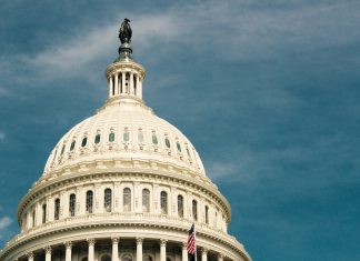 DEEP STATE INSIGHT – wading around in the D.C. swamp