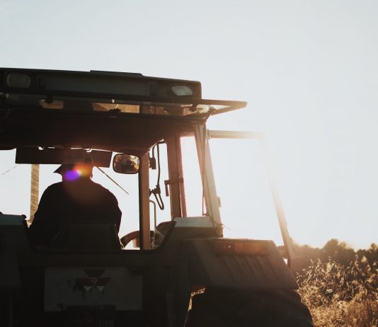 CIVILIZATION IN CRISIS – is tribalism destroying civil society?