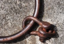 IDENTIFYING, DEFINING & DESTROYING THE LIBERAL PLANTATION