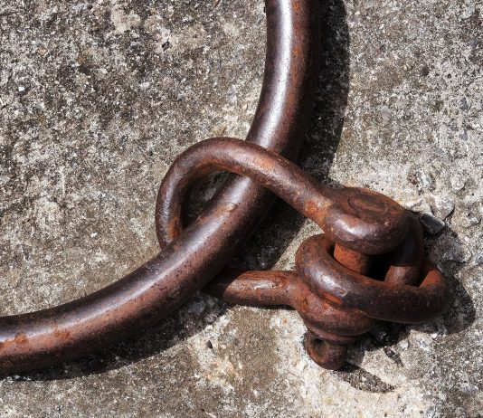 IDENTIFYING, DEFINING & DESTROYING THE LIBERAL PLANTATION