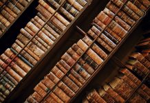 Progressive Education and Red Pill Expo Preview