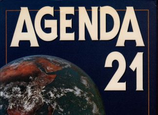 COP25 – losers and fanatics on display