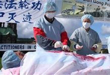 RED CHINA & ORGAN HARVESTING – exposing life behind the red curtain!