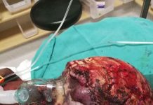 GENOCIDE IN THE SECOND AMERICA ( Part Two) – the media blackout of communist atrocities!!