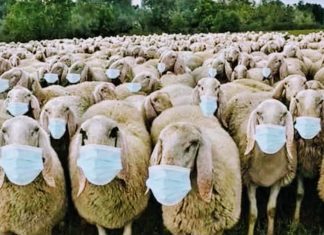 LOCKING DOWN AMERICA – the effects on our economy and food supply