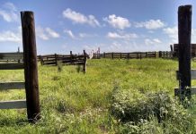 CONTROL THE FOOD SUPPLY- THEN THE PEOPLE! Abandoned Ranch Agenda 21/30 pxby