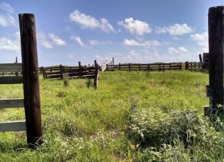 CONTROL THE FOOD SUPPLY- THEN THE PEOPLE! Abandoned Ranch Agenda 21/30 pxby