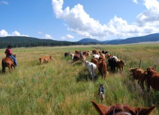 PRIVATE PROPERTY – cornerstone of freedom Private Property