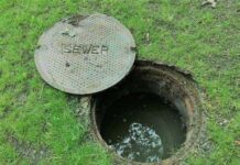 THE MEAN GREEN ECONOMY KILLING MACHINE