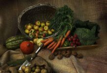 NATURAL HEALTH – HUMANITY AT RISK Natural Health