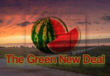 THE TRUE MEANING OF GREEN Green Is the New Red