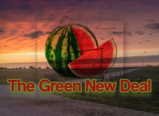 THE TRUE MEANING OF GREEN Green Is the New Red