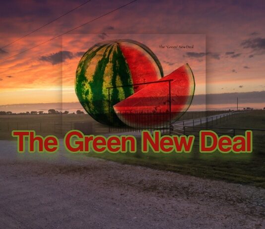 THE TRUE MEANING OF GREEN Green Is the New Red