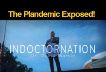 INDOCTRONATION – the plandemic exposed! Indoctoronation - the plandemic exposed (plandemic 2)