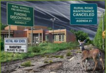 THE UNSUSTAINABILITY OF SUSTAINABILITY