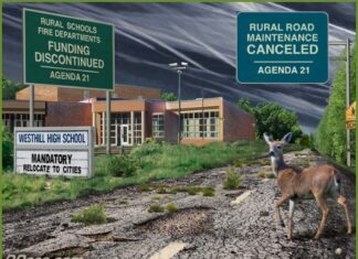 THE UNSUSTAINABILITY OF SUSTAINABILITY