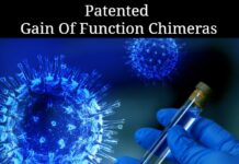 Patented Gain Of Function Chimeras – Spike Proteins As Tools Of Population Control Population Control