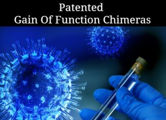 Patented Gain Of Function Chimeras – Spike Proteins As Tools Of Population Control Population Control