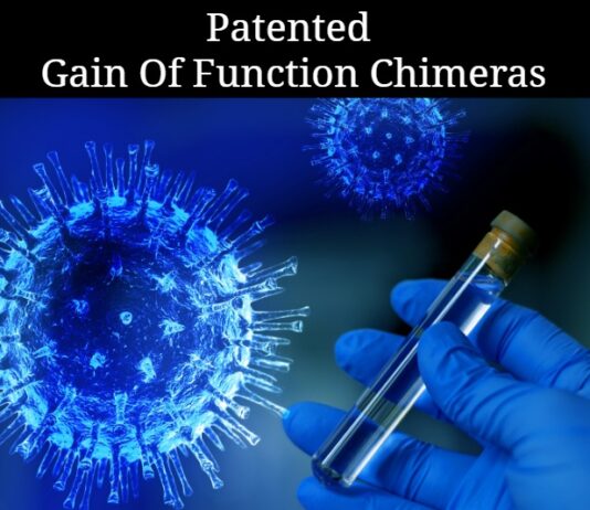 Patented Gain Of Function Chimeras – Spike Proteins As Tools Of Population Control Population Control