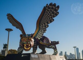 UNDERSTANING THE BIG PICTURE: absolute control one step at a time!