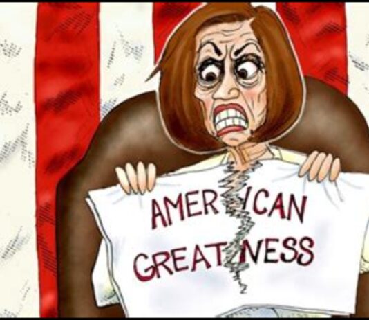 THE STATE OF DISUNION MESSAGE – the left’s contempt for patriotism The Left Hates America