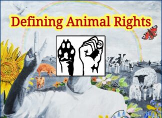 DEFINING ANIMAL RIGHTS