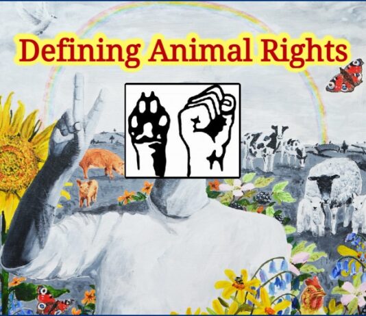 DEFINING ANIMAL RIGHTS