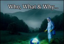 PLAGUES, PLANDEMICS & PLATITUDES – Dr. Lee Merritt