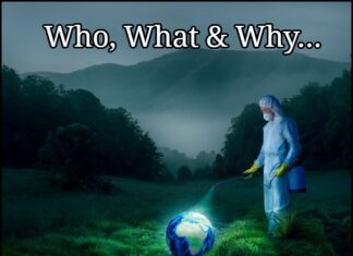 PLAGUES, PLANDEMICS & PLATITUDES – Dr. Lee Merritt