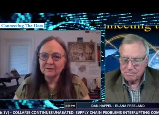 Transhumanism, Geoengineering & The Great Reset with Elana Freeland