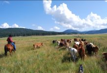 THE PUBLIC/PRIVATE LAND DEBATE what are their goals and where will it end?