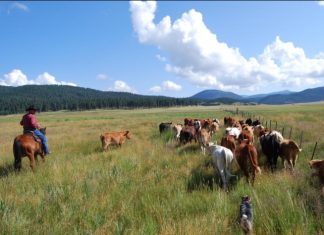 THE PUBLIC/PRIVATE LAND DEBATE what are their goals and where will it end?