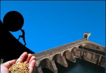 AMERICA’S HUNGER GAMES 2022