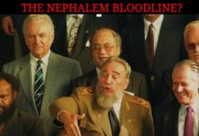 THE NEPHALEM BLOODLINE?