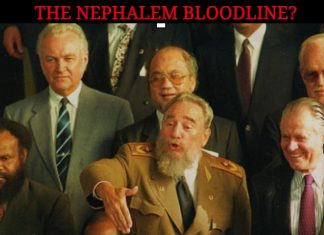 THE NEPHALEM BLOODLINE?