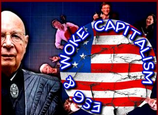 ESG & WOKE CAPITALISM (totalitarianism with feudalistic characteristics)