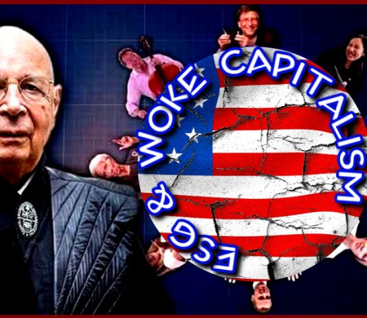 ESG & WOKE CAPITALISM (totalitarianism with feudalistic characteristics)