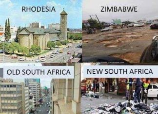 The Transition From Egalitarian Systems of Government to Tribalism